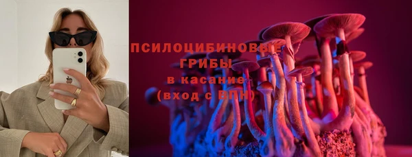 ПСИЛОЦИБИНОВЫЕ ГРИБЫ Алексеевка