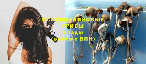 ПСИЛОЦИБИНОВЫЕ ГРИБЫ Алексеевка