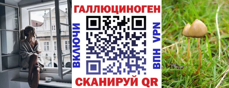 купить наркоту  Макушино  Псилоцибиновые грибы мухоморы 
